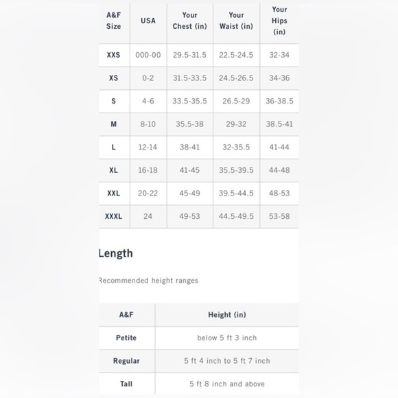 Abercrombie & Fitch Silver Sequin Long Sleeve Dress • MP • NWT - Picture 13 of 13